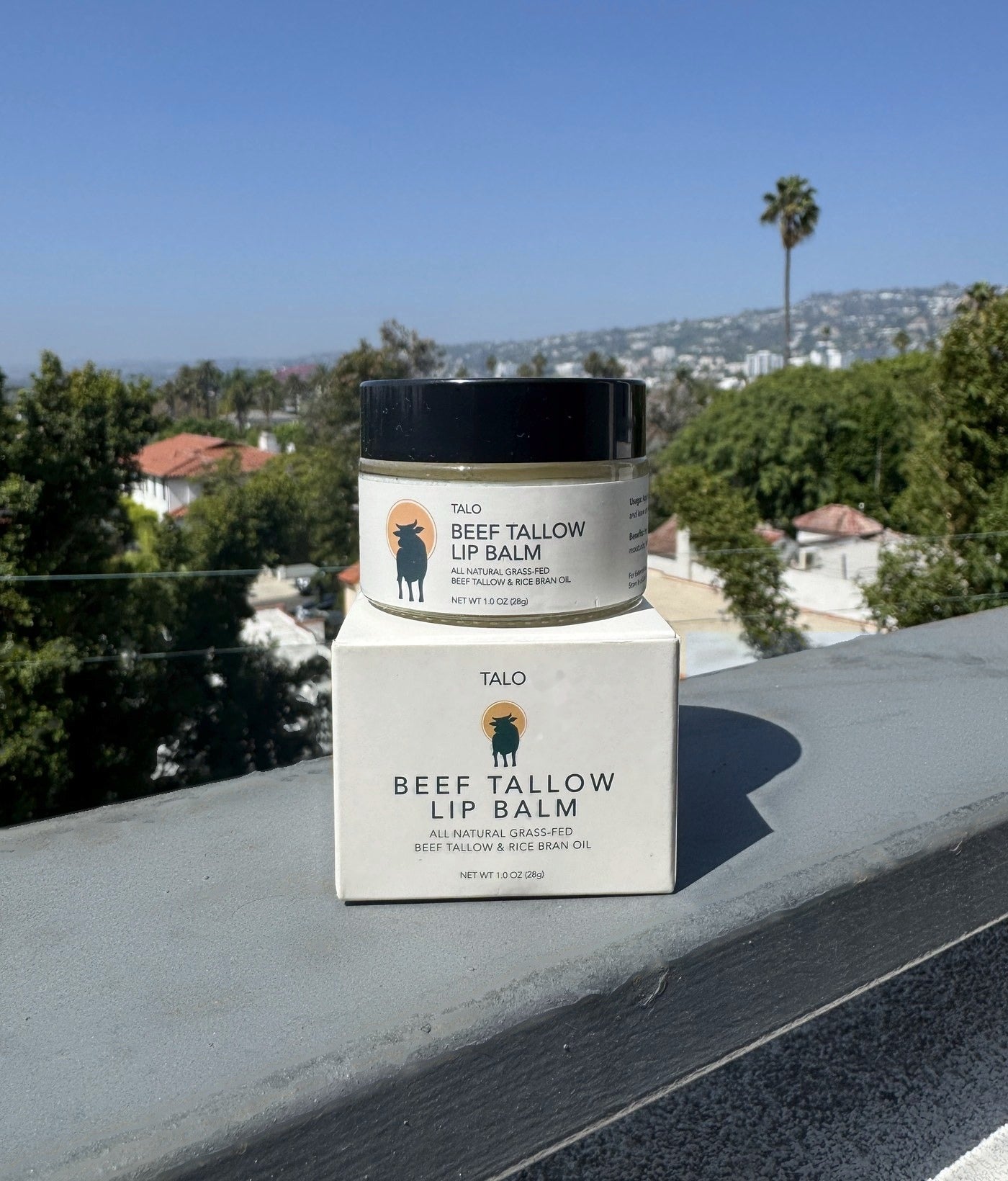 TALO beef tallow lip balm jar on its box